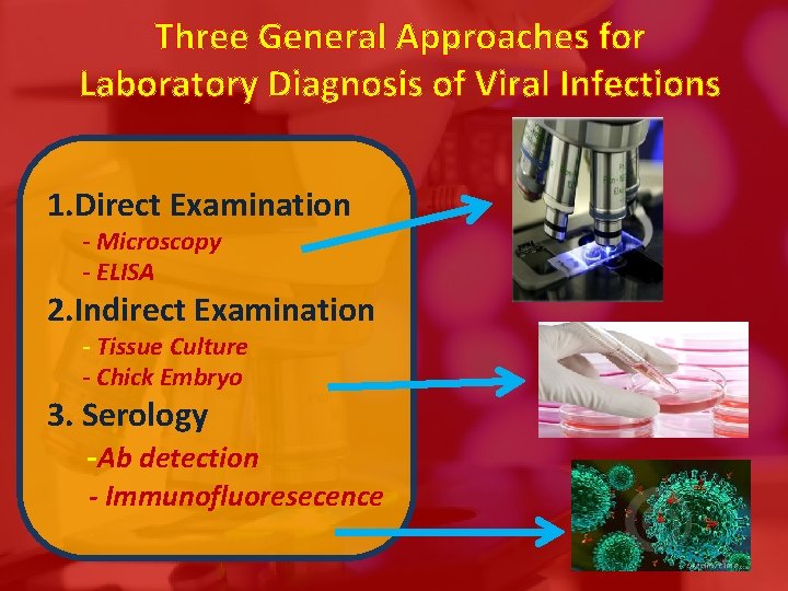 Three General Approaches for Laboratory Diagnosis of Viral Infections 1. Direct Examination - Microscopy