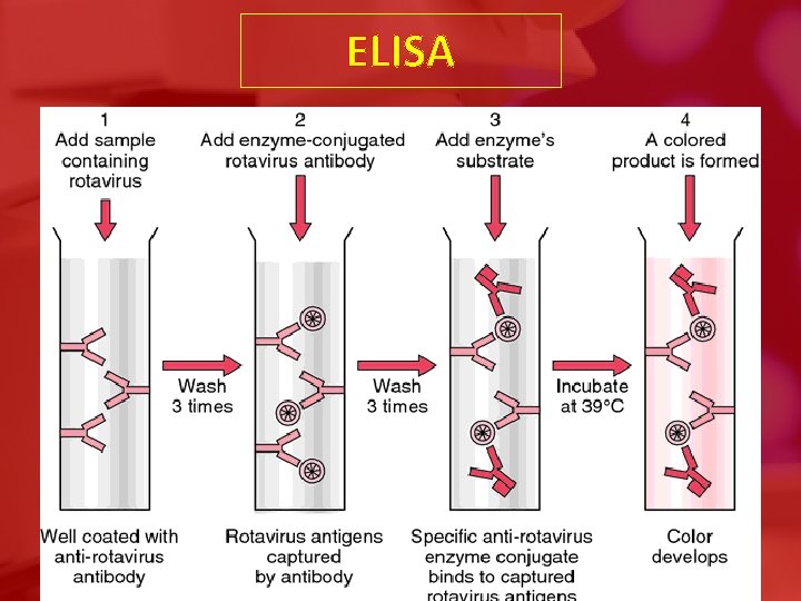 ELISA 