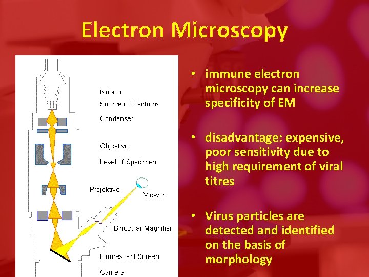 Electron Microscopy • immune electron microscopy can increase specificity of EM • disadvantage: expensive,