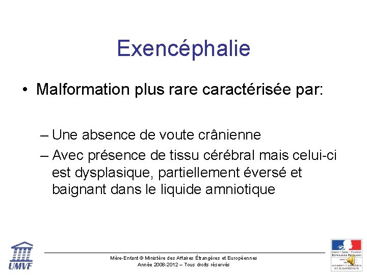 Exencéphalie • Malformation plus rare caractérisée par: – Une absence de voute crânienne –