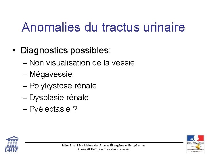 Anomalies du tractus urinaire • Diagnostics possibles: – Non visualisation de la vessie –