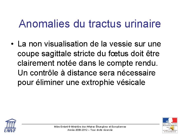 Anomalies du tractus urinaire • La non visualisation de la vessie sur une coupe