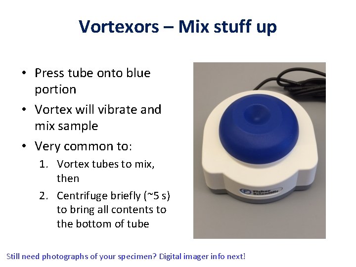 Vortexors – Mix stuff up • Press tube onto blue portion • Vortex will