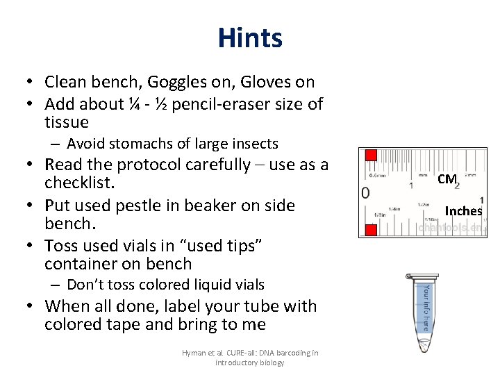 Hints • Clean bench, Goggles on, Gloves on • Add about ¼ - ½