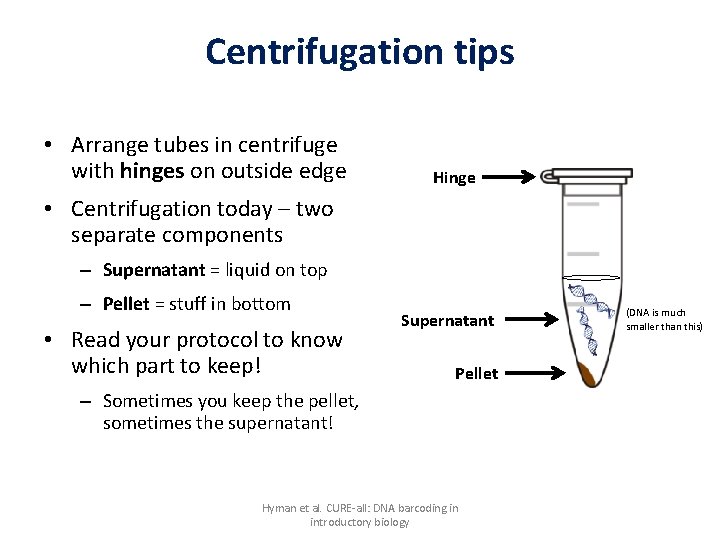 Centrifugation tips • Arrange tubes in centrifuge with hinges on outside edge Hinge •