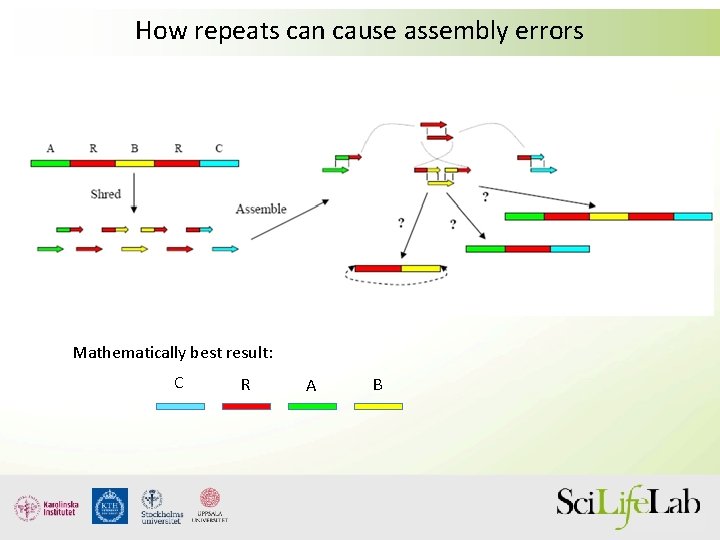 How repeats can cause assembly errors Mathematically best result: C R A B 