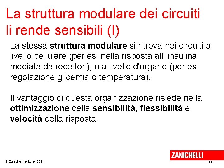 La struttura modulare dei circuiti li rende sensibili (I) La stessa struttura modulare si