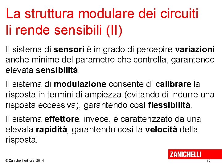 La struttura modulare dei circuiti li rende sensibili (II) Il sistema di sensori è