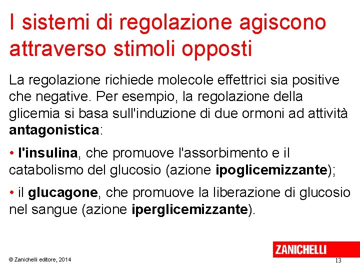 I sistemi di regolazione agiscono attraverso stimoli opposti La regolazione richiede molecole effettrici sia