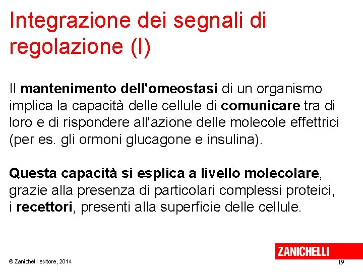 Integrazione dei segnali di regolazione (I) Il mantenimento dell'omeostasi di un organismo implica la