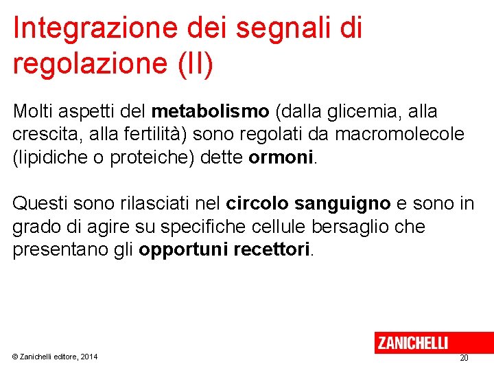 Integrazione dei segnali di regolazione (II) Molti aspetti del metabolismo (dalla glicemia, alla crescita,