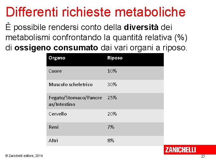 Differenti richieste metaboliche È possibile rendersi conto della diversità dei metabolismi confrontando la quantità