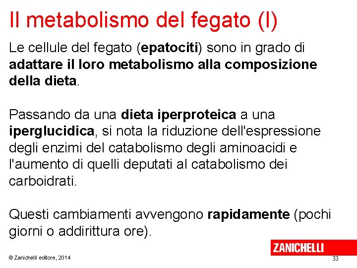 Il metabolismo del fegato (I) Le cellule del fegato (epatociti) sono in grado di