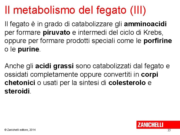 Il metabolismo del fegato (III) Il fegato è in grado di catabolizzare gli amminoacidi