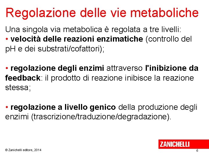 Regolazione delle vie metaboliche Una singola via metabolica è regolata a tre livelli: •