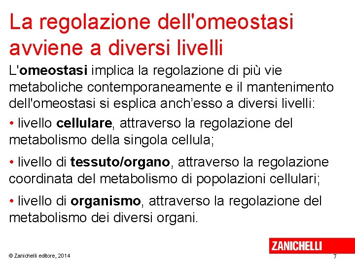 La regolazione dell'omeostasi avviene a diversi livelli L'omeostasi implica la regolazione di più vie