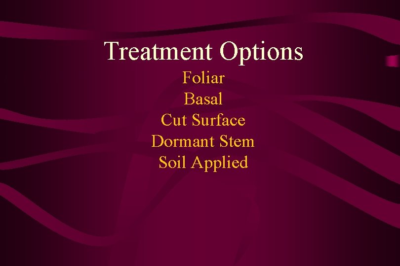 Treatment Options Foliar Basal Cut Surface Dormant Stem Soil Applied 