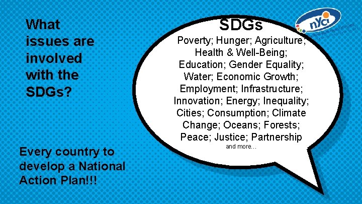 What issues are involved with the SDGs? Every country to develop a National Action