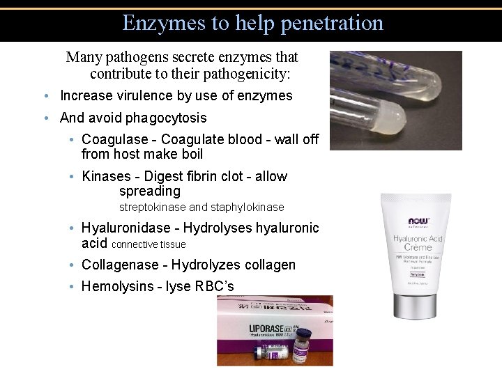 Enzymes to help penetration Many pathogens secrete enzymes that contribute to their pathogenicity: •