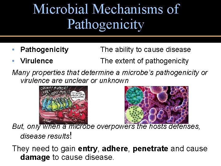 Microbial Mechanisms of Pathogenicity • Pathogenicity The ability to cause disease • Virulence The