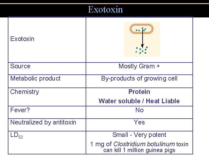 Exotoxin Source Metabolic product Chemistry Fever? Neutralized by antitoxin LD 50 Mostly Gram +
