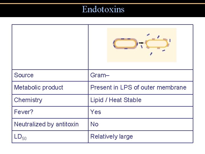 Endotoxins Source Gram– Metabolic product Present in LPS of outer membrane Chemistry Lipid /