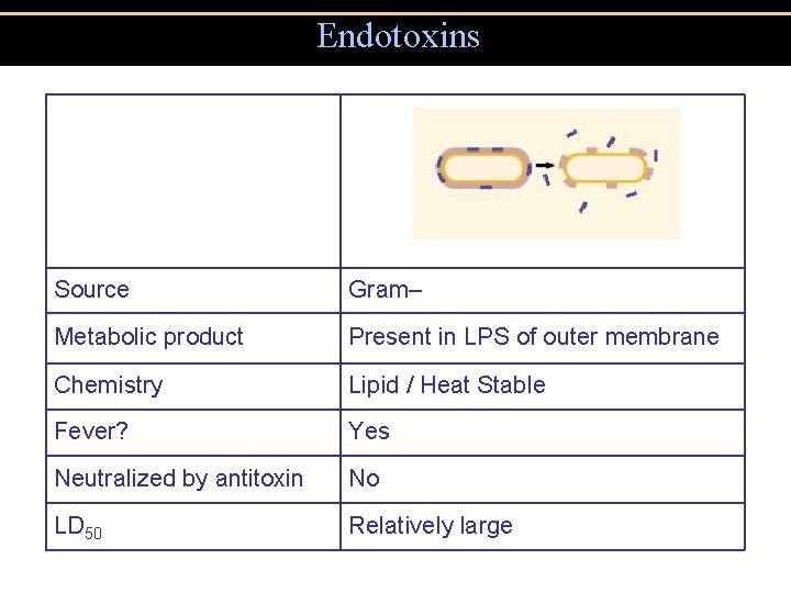 Endotoxins Source Gram– Metabolic product Present in LPS of outer membrane Chemistry Lipid / Endotoxins Source Gram– Metabolic product Present in LPS of outer membrane Chemistry Lipid /