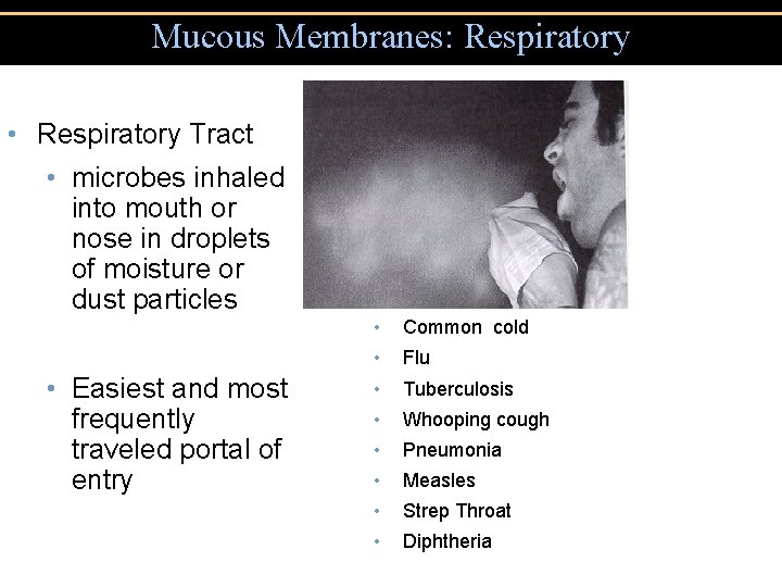 Mucous Membranes: Respiratory • Respiratory Tract • microbes inhaled into mouth or nose in