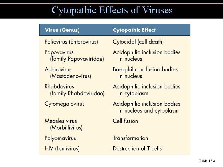 Cytopathic Effects of Viruses Table 15. 4 Cytopathic Effects of Viruses Table 15. 4