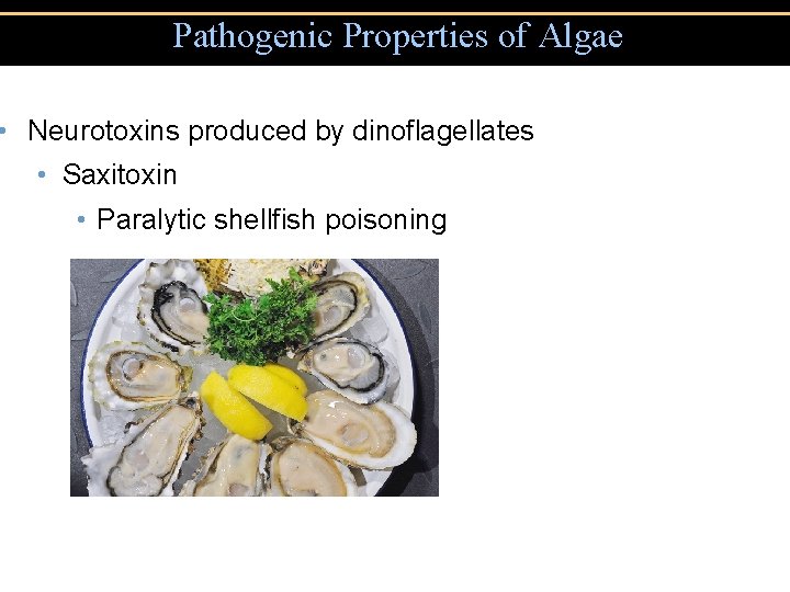 Pathogenic Properties of Algae • Neurotoxins produced by dinoflagellates • Saxitoxin • Paralytic shellfish