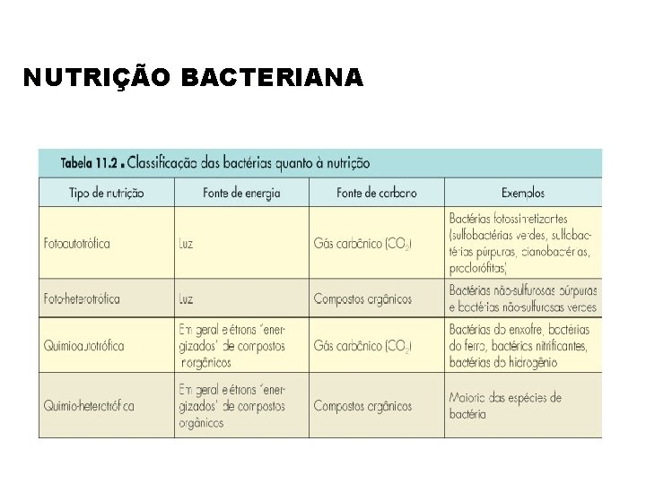 NUTRIÇÃO BACTERIANA 