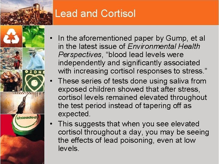 Lead and Cortisol • In the aforementioned paper by Gump, et al in the