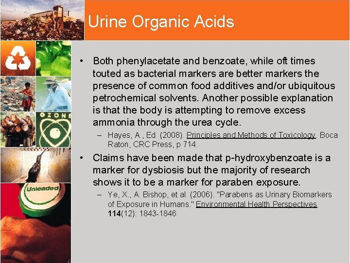 Urine Organic Acids • Both phenylacetate and benzoate, while oft times touted as bacterial