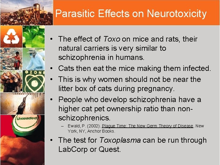 Parasitic Effects on Neurotoxicity • The effect of Toxo on mice and rats, their