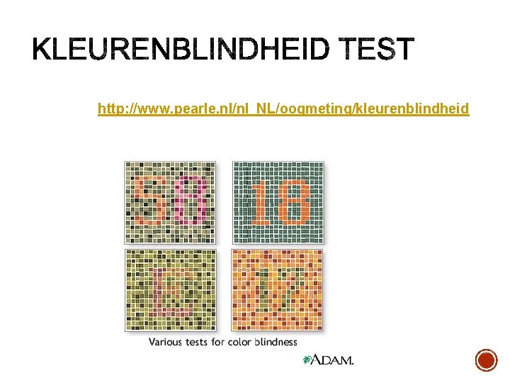 http: //www. pearle. nl/nl_NL/oogmeting/kleurenblindheid 