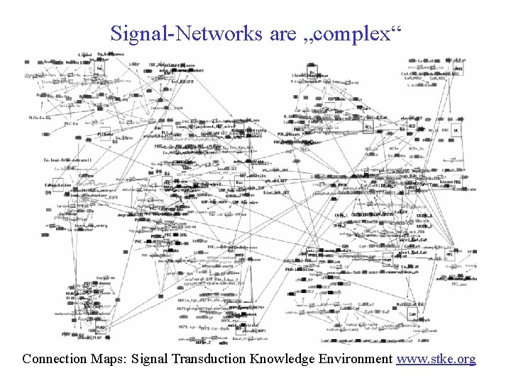 Signal-Networks are „complex“ Connection Maps: Signal Transduction Knowledge Environment www. stke. org 