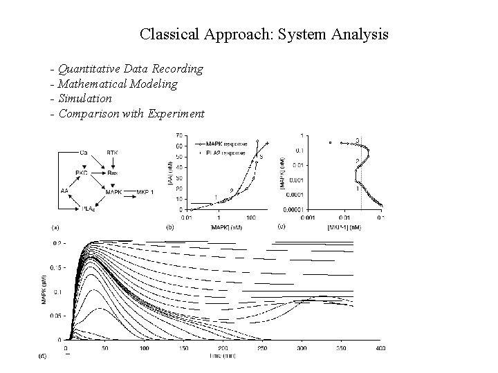 Classical Approach: System Analysis - Quantitative Data Recording - Mathematical Modeling - Simulation -