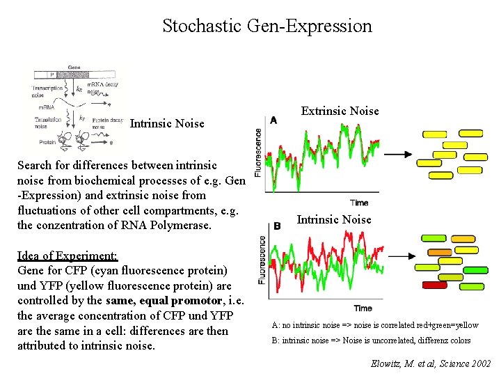 Stochastic Gen-Expression Intrinsic Noise Search for differences between intrinsic noise from biochemical processes of