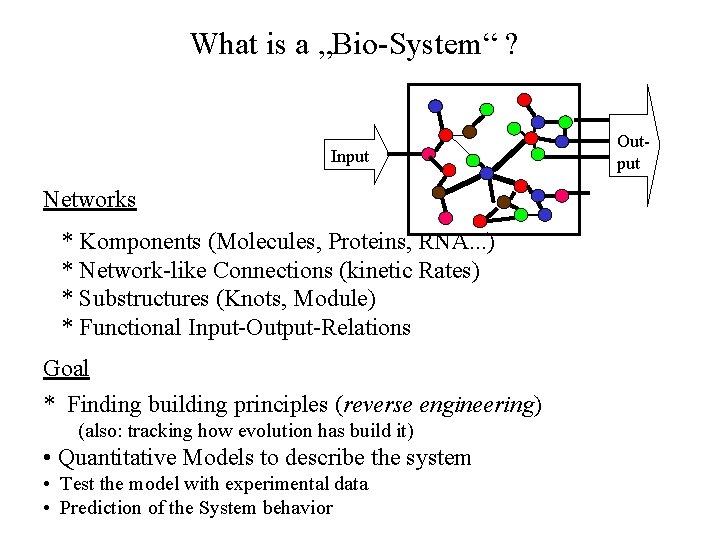What is a „Bio-System“ ? Input Networks * Komponents (Molecules, Proteins, RNA. . .
