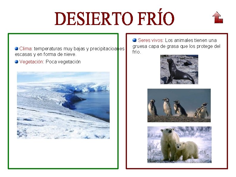 Clima: temperaturas muy bajas y precipitacioanes escasas y en forma de nieve. Vegetación: Poca