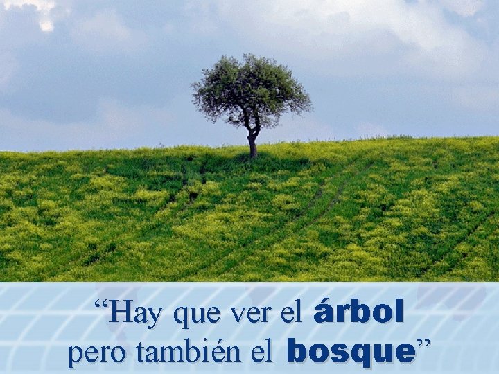 “Hay que ver el árbol pero también el bosque” 