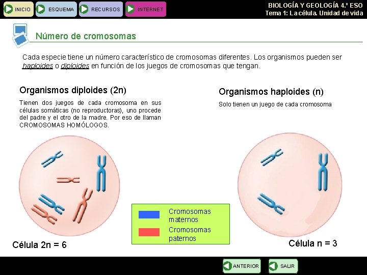 INICIO ESQUEMA RECURSOS BIOLOGÍA Y GEOLOGÍA 4. º ESO Tema 1: La célula. Unidad