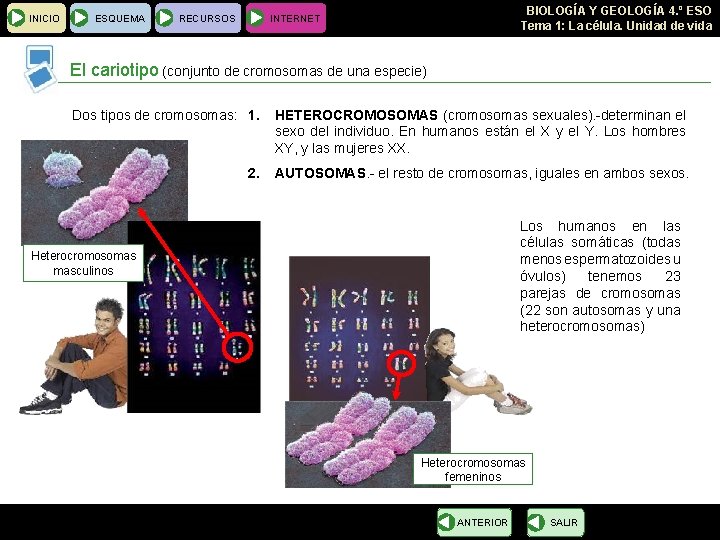 INICIO ESQUEMA RECURSOS BIOLOGÍA Y GEOLOGÍA 4. º ESO Tema 1: La célula. Unidad