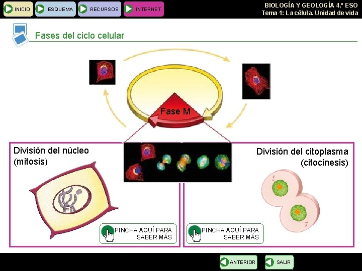 INICIO ESQUEMA RECURSOS BIOLOGÍA Y GEOLOGÍA 4. º ESO Tema 1: La célula. Unidad