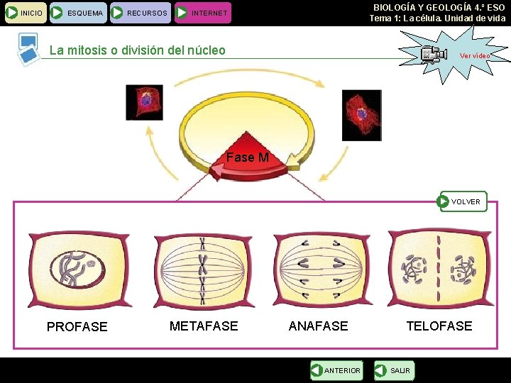 INICIO ESQUEMA RECURSOS BIOLOGÍA Y GEOLOGÍA 4. º ESO Tema 1: La célula. Unidad