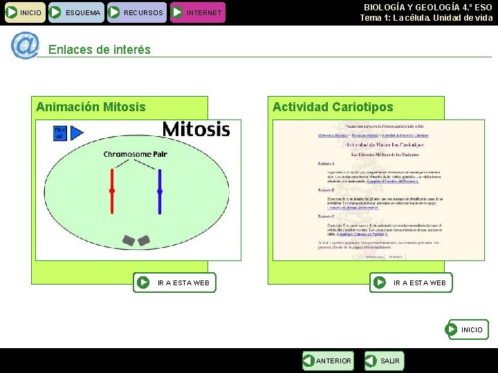 INICIO ESQUEMA RECURSOS BIOLOGÍA Y GEOLOGÍA 4. º ESO Tema 1: La célula. Unidad