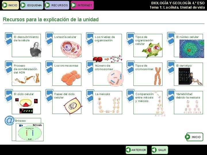 INICIO ESQUEMA RECURSOS BIOLOGÍA Y GEOLOGÍA 4. º ESO Tema 1: La célula. Unidad