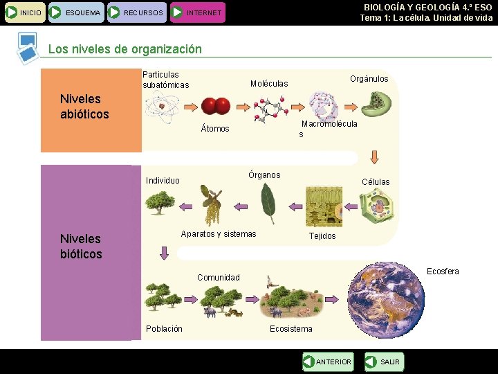 INICIO ESQUEMA RECURSOS BIOLOGÍA Y GEOLOGÍA 4. º ESO Tema 1: La célula. Unidad