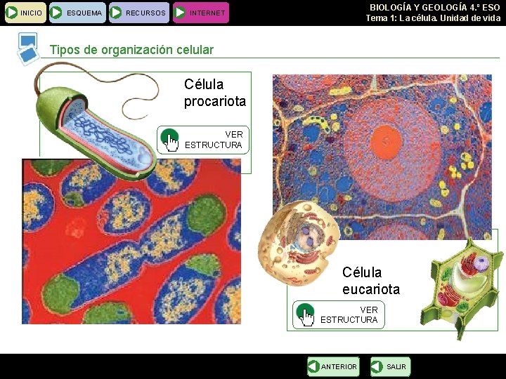 INICIO ESQUEMA RECURSOS BIOLOGÍA Y GEOLOGÍA 4. º ESO Tema 1: La célula. Unidad