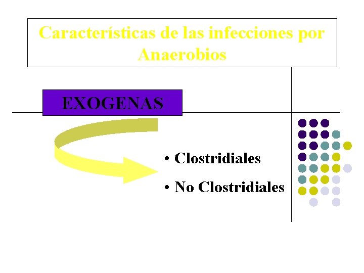 Características de las infecciones por Anaerobios EXOGENAS • Clostridiales • No Clostridiales 